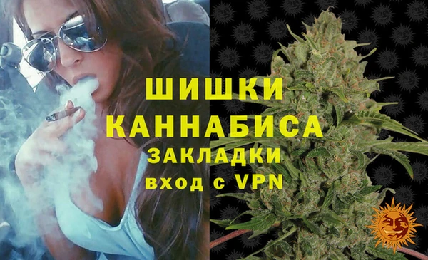 индика Дедовск