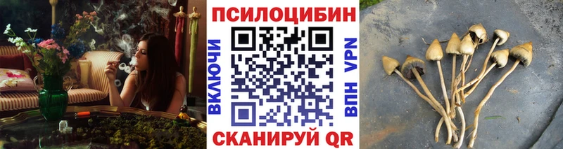 Галлюциногенные грибы мухоморы  нарко площадка клад  Видное  гидра вход 